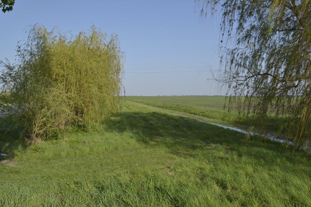 Знам'янка з panoramio.com - Знаменка