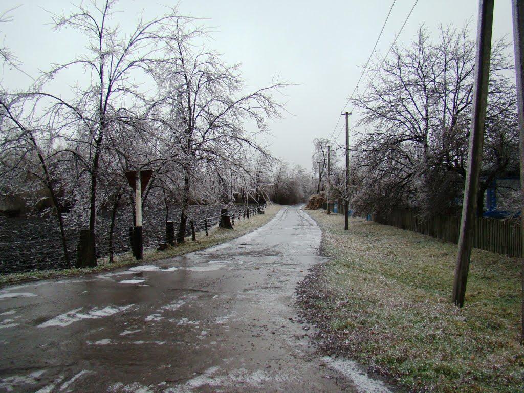 Янишівка з panoramio.com - Янишевка