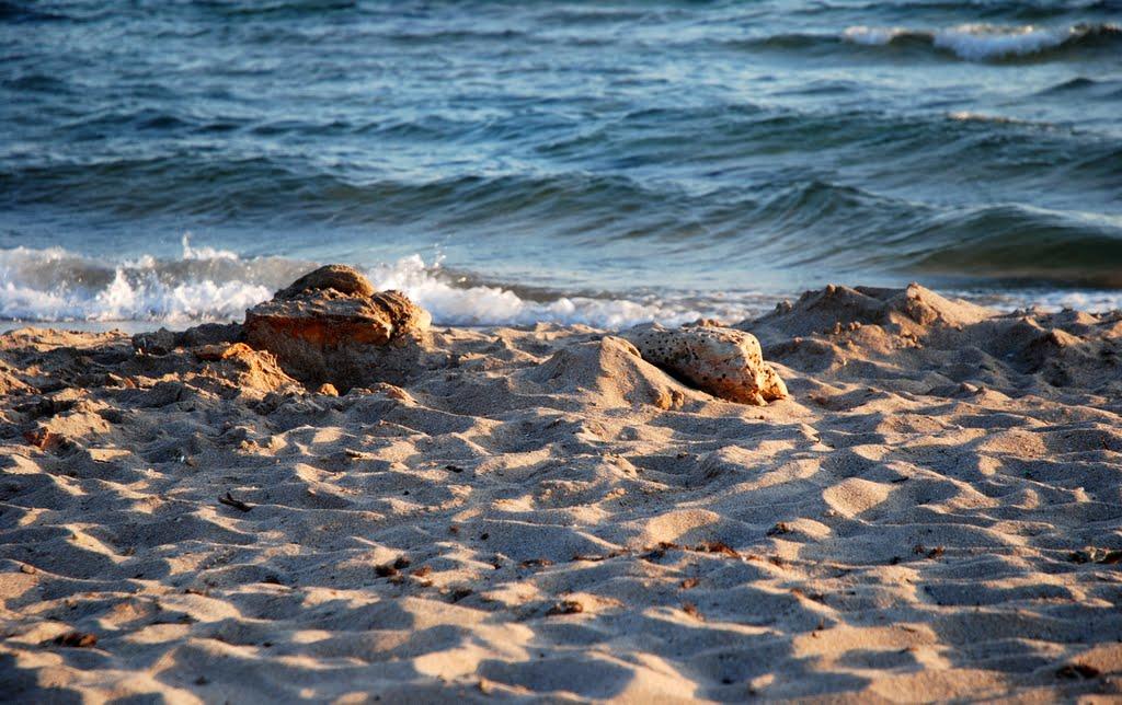 Знам'янське з panoramio.com - Знам'янське