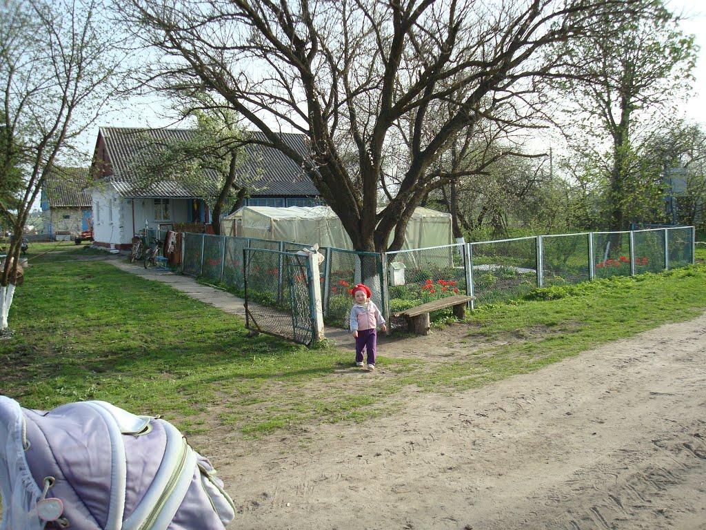 Дроздні з panoramio.com - Drozdni