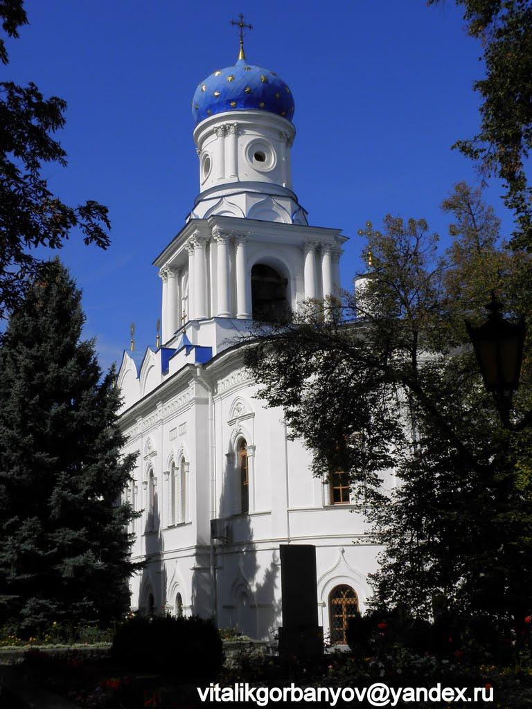 Святогірськ з panoramio.com - Святогірськ