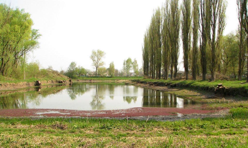 Марківці з panoramio.com - Марковцы