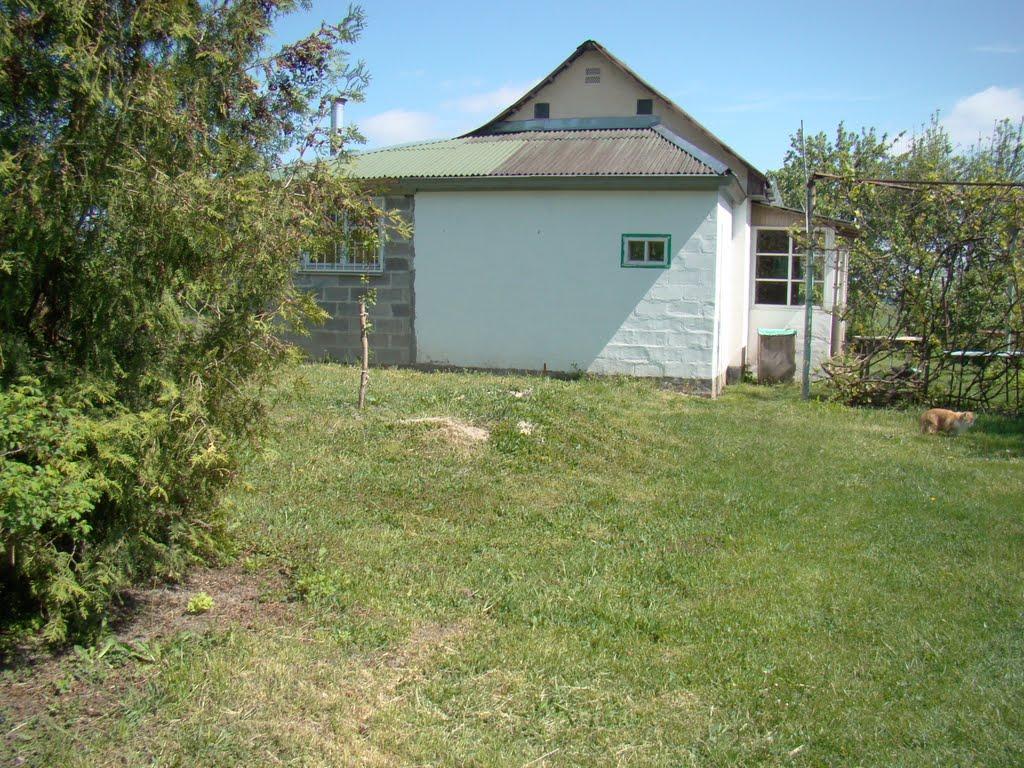 Червона Дача з panoramio.com - Червона Дача