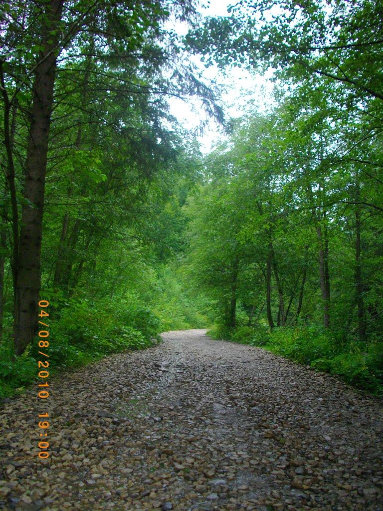 Татарів з panoramio.com - Татаров