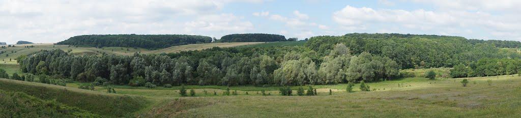 Княжне з panoramio.com - Княжне