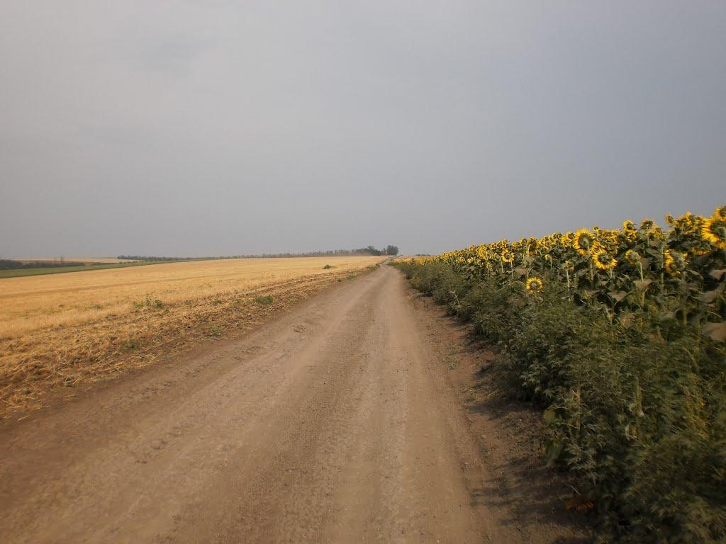 Павлопіль з panoramio.com - Павлопіль