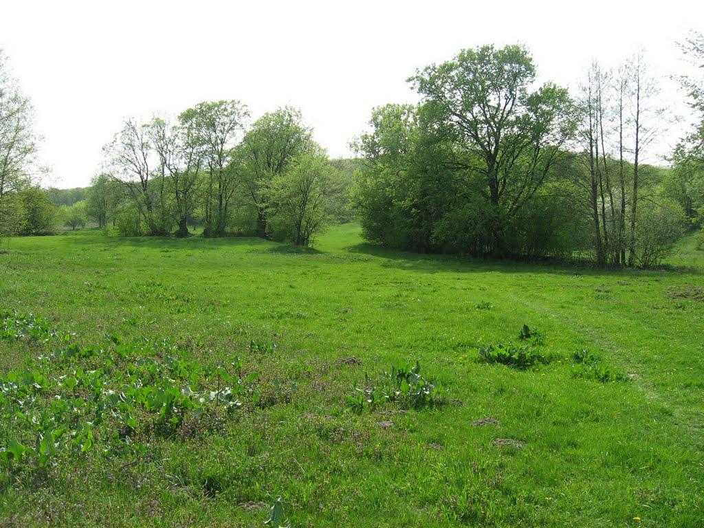 Лука з panoramio.com - Лука