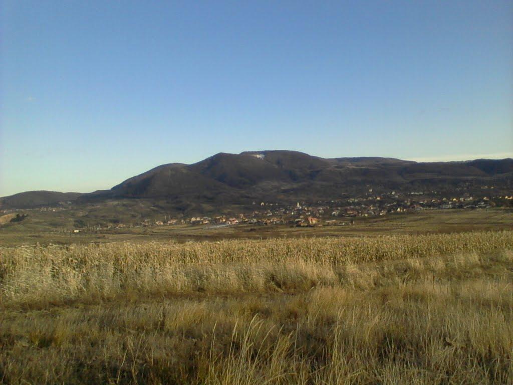 Холмовець з panoramio.com - Холмовец