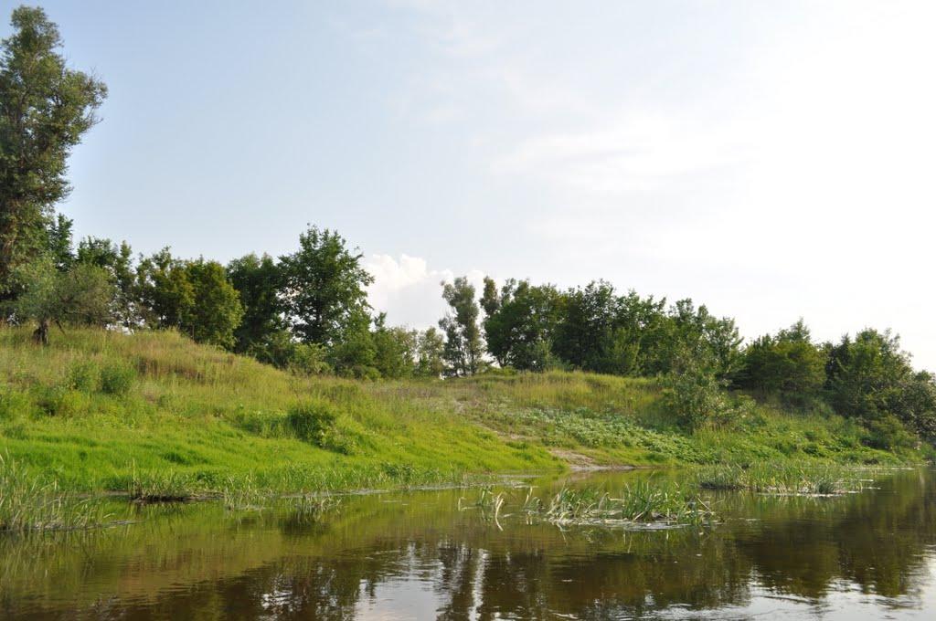Великі Будища з panoramio.com - Великі Будища