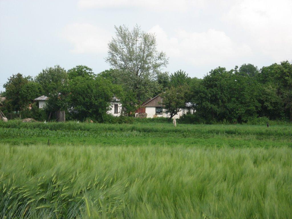 Чуків з panoramio.com - Чуков