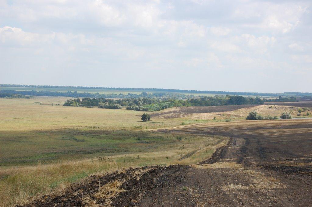 Степівка з panoramio.com - Степівка