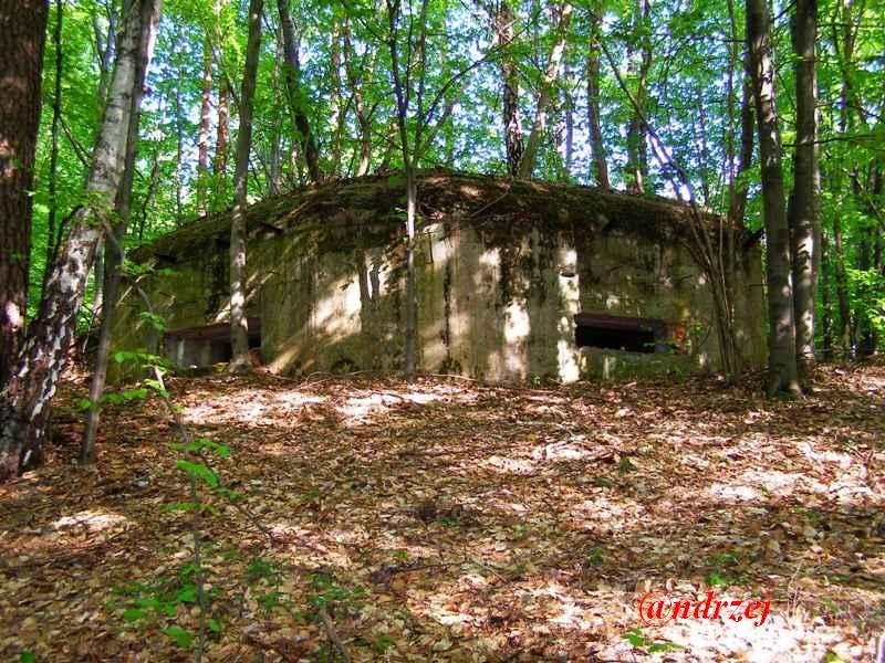 Великі Макари з panoramio.com - Великі Макари
