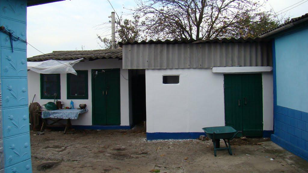 Янишівка з panoramio.com - Янишевка