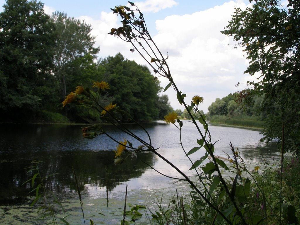 Матвіївка з panoramio.com - Матвіївка