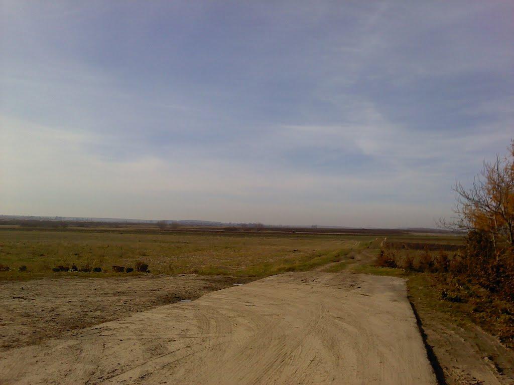 Піддубне з panoramio.com - Поддубное