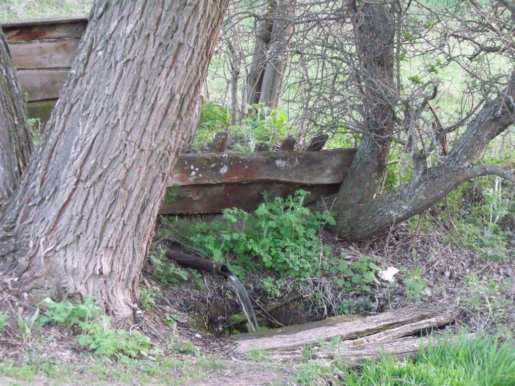 Малі Проходи з panoramio.com - Малі Проходи