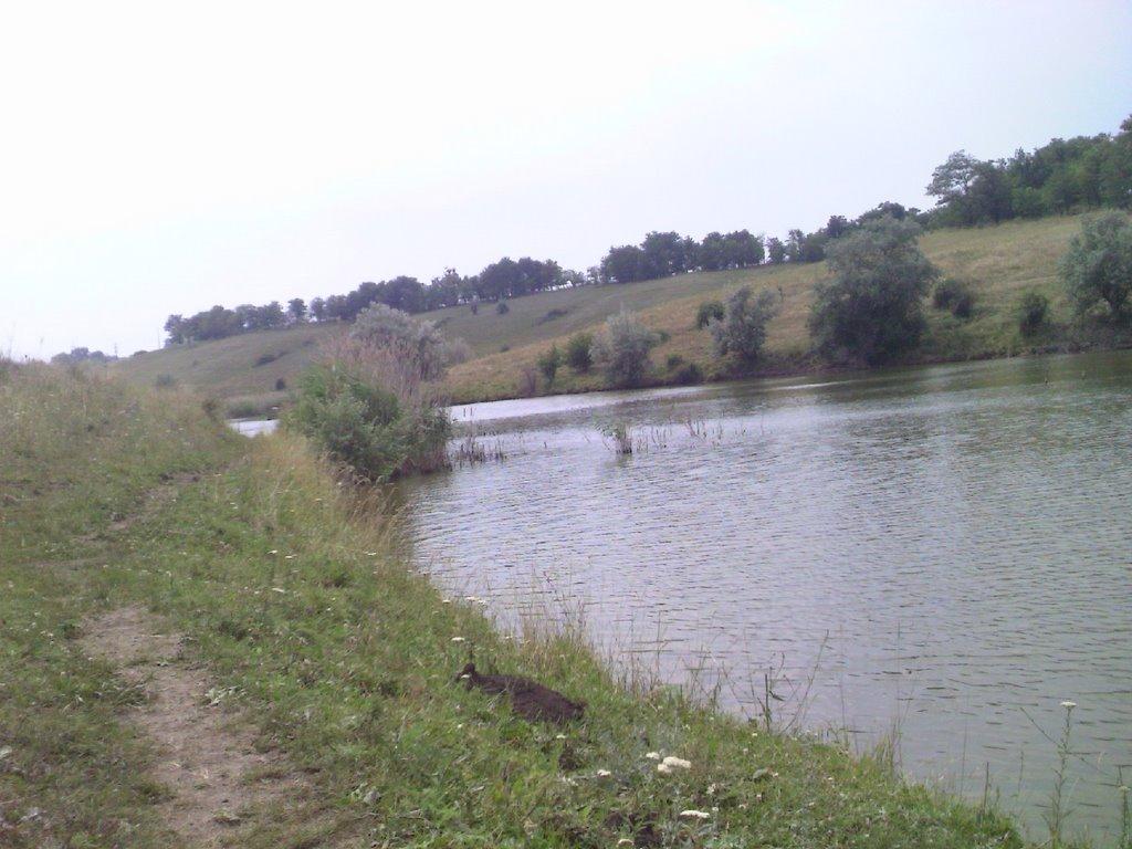 Іларіонове з panoramio.com - Іларіонове