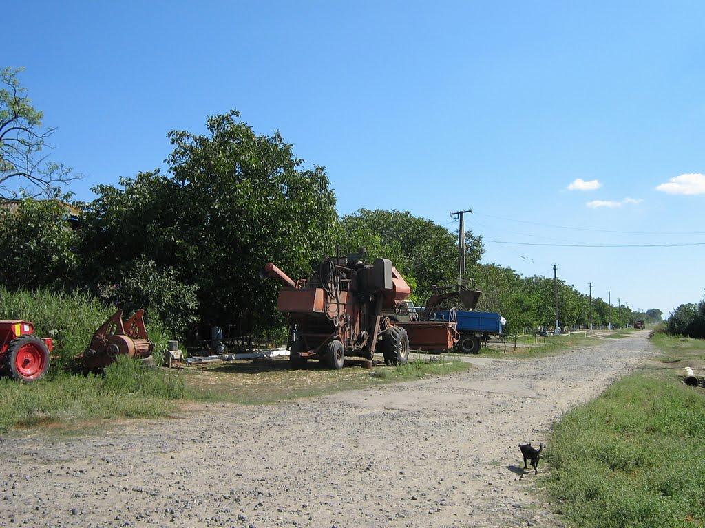 Зарічне з panoramio.com - Зарічне