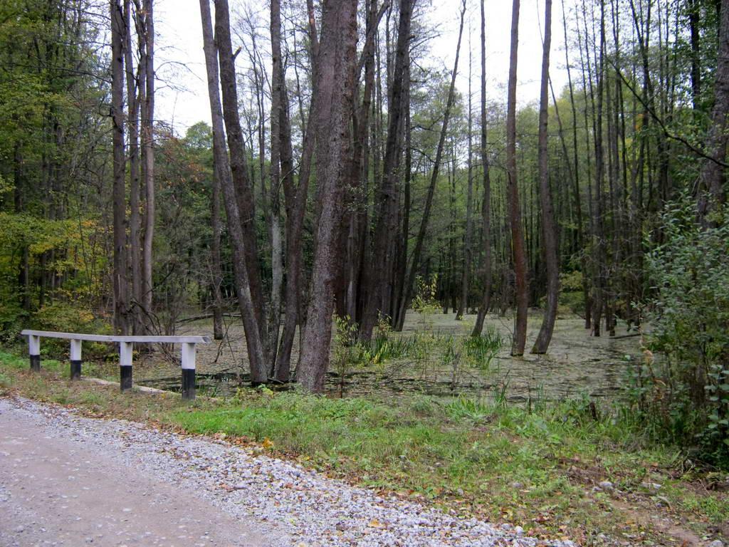 Вакалівщина з panoramio.com - Вакаловщина