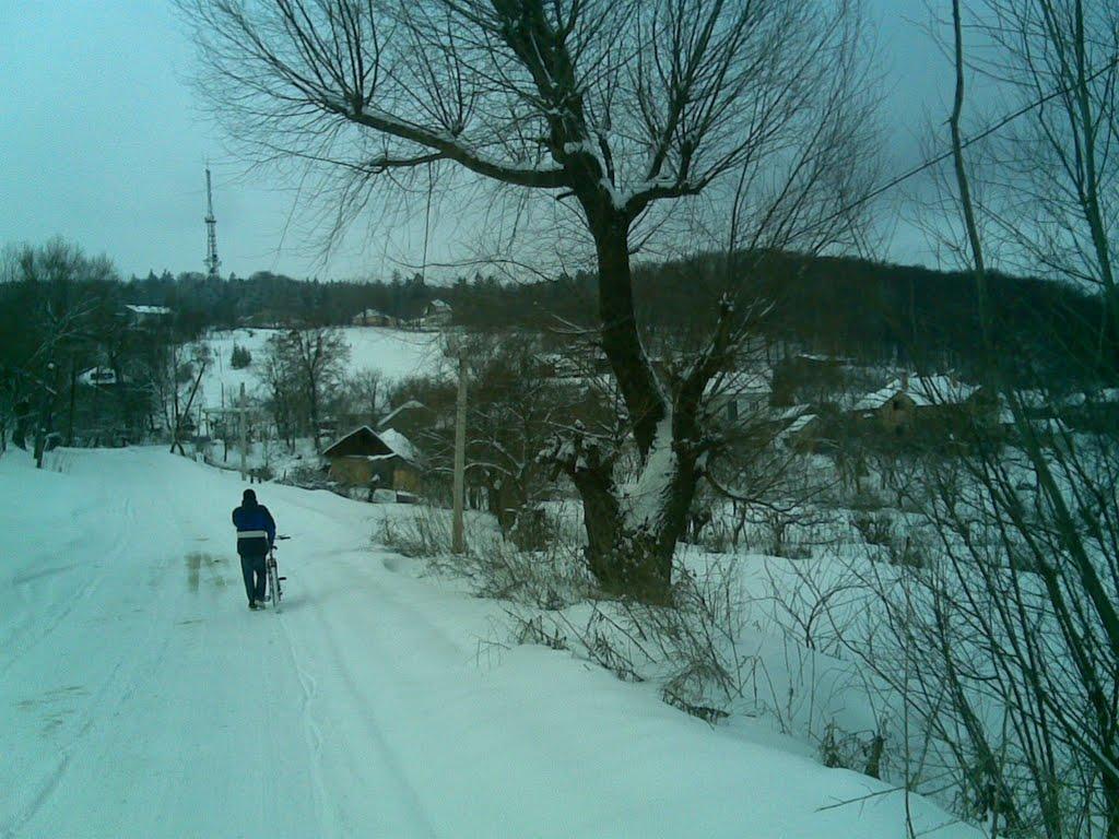 Заволока з panoramio.com - Заволока