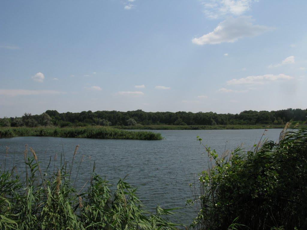 Жовті Води з panoramio.com - Жовті Води