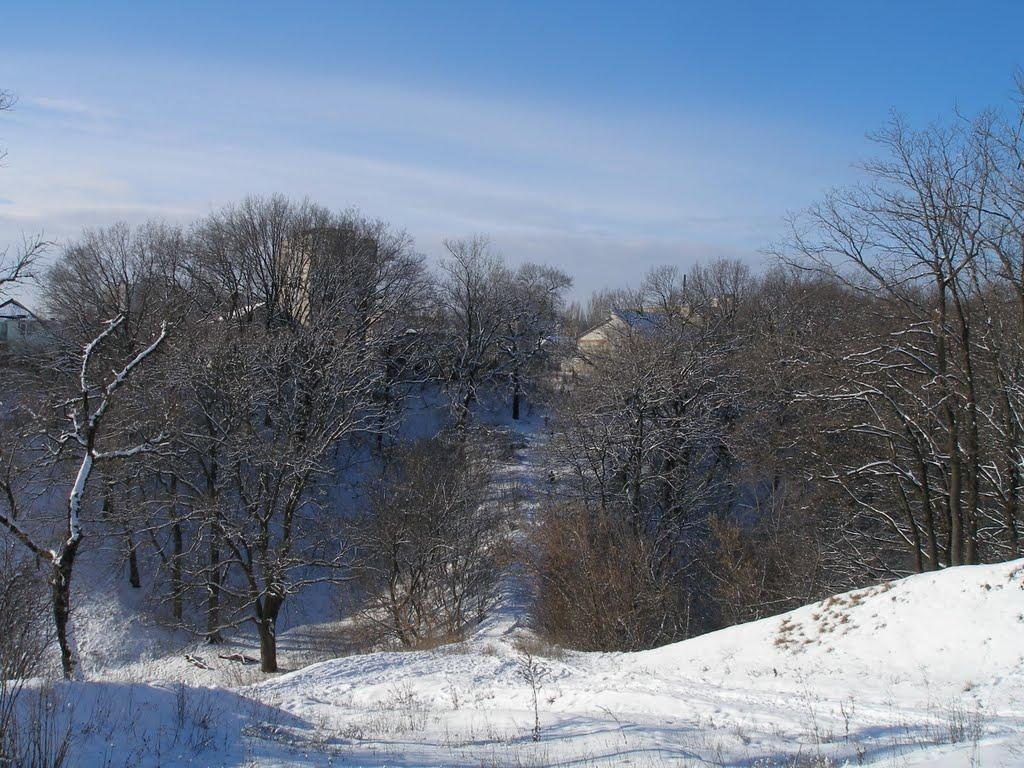 Кулиничі з panoramio.com - Кулиничі