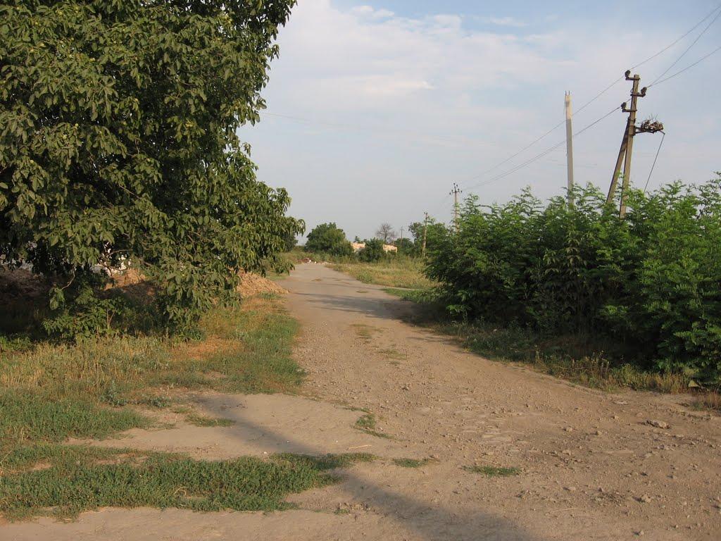 Кищенці з panoramio.com - Кищенці