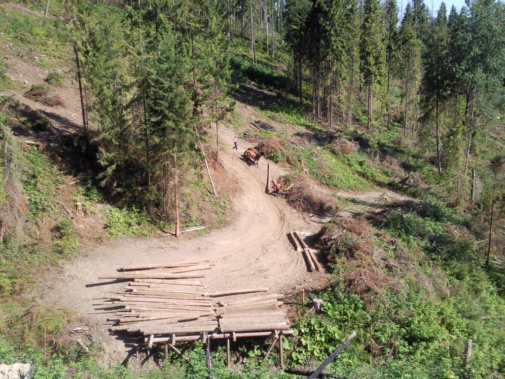 Погар з panoramio.com - Погар