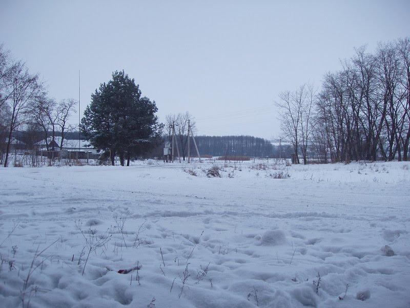 Веселе з panoramio.com - Веселое