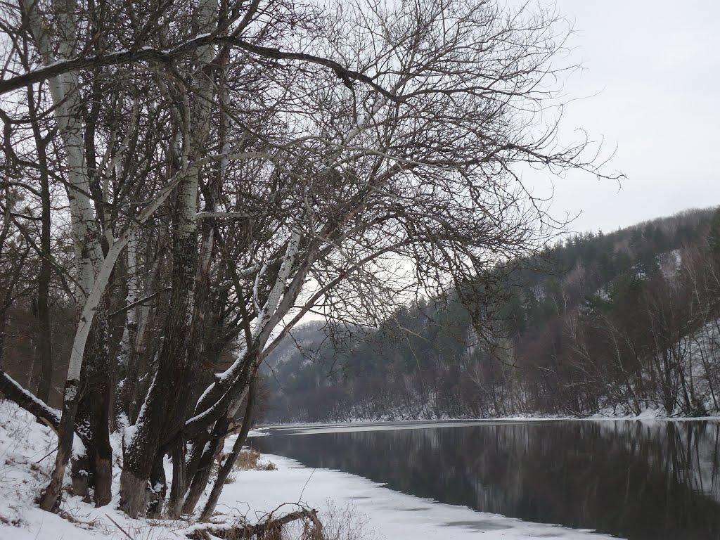 Богородичне з panoramio.com - Богородичное