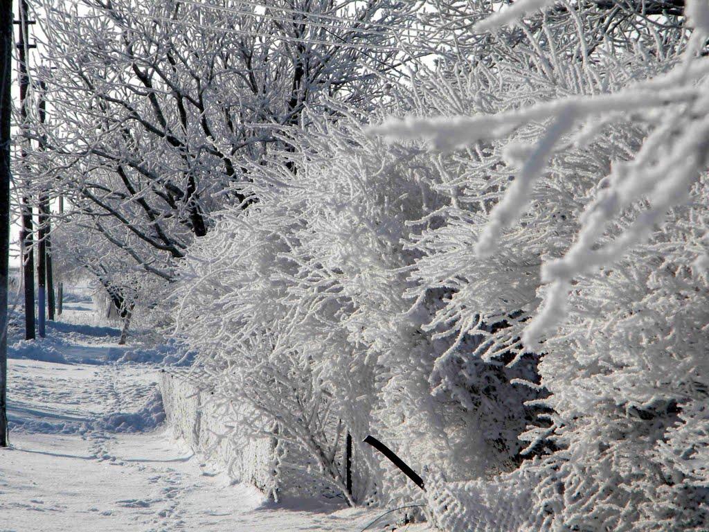 Павлівка з panoramio.com - Павловка