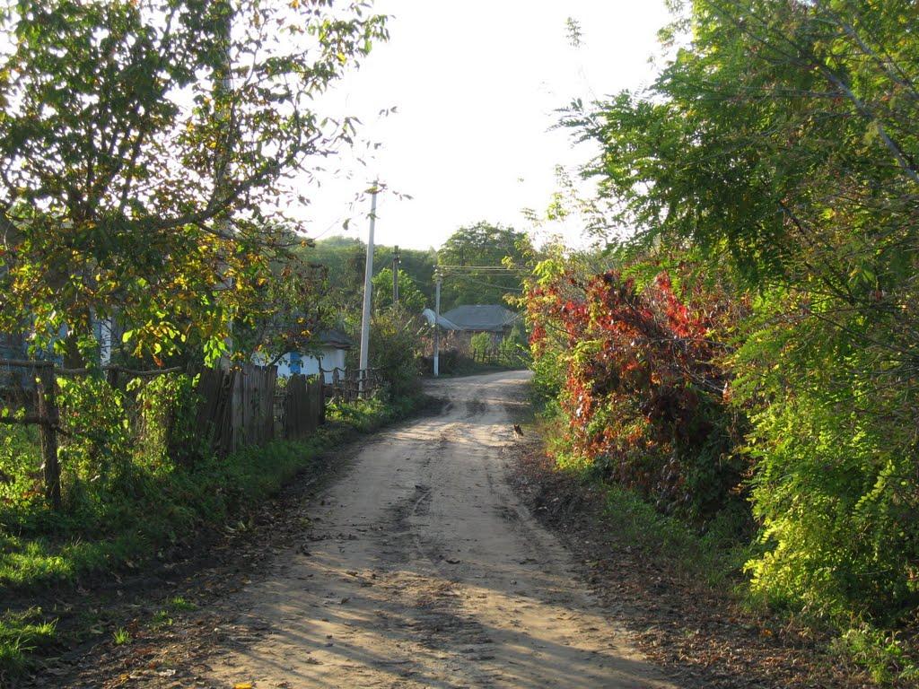 Обжиле з panoramio.com - Обжиле