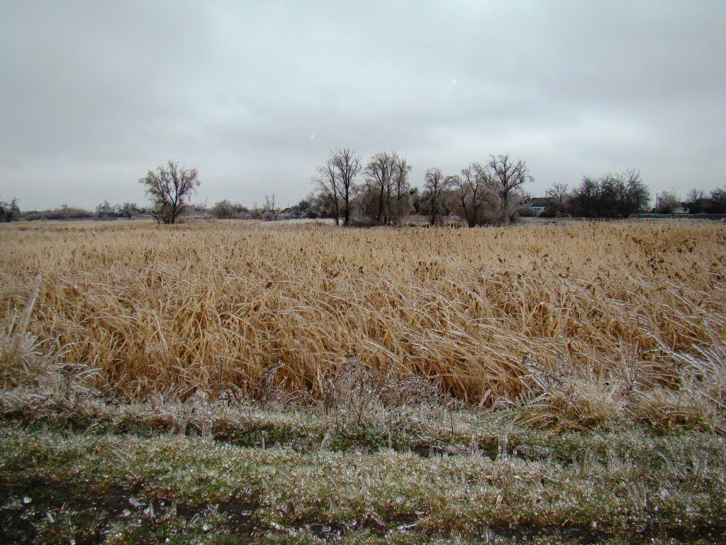 Янишівка з panoramio.com - Janyshivka