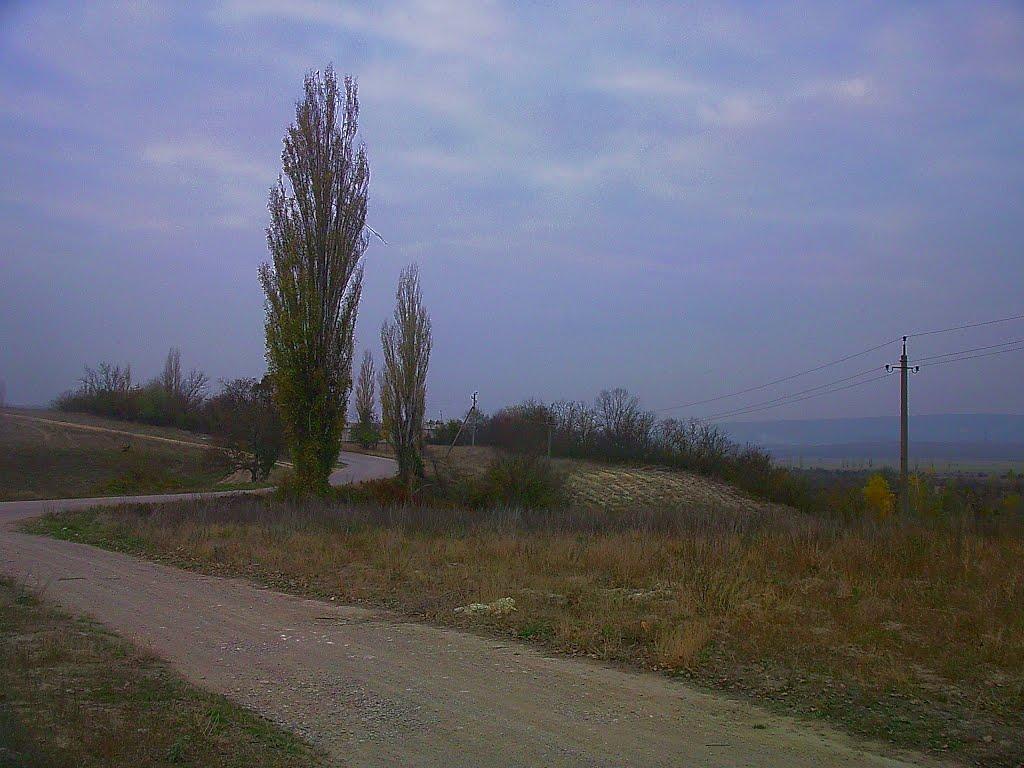 Красний Мак з panoramio.com - Красный Мак