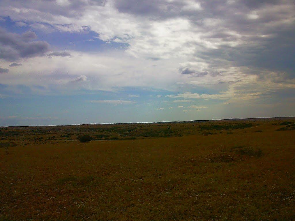 Каштани з panoramio.com - Каштани