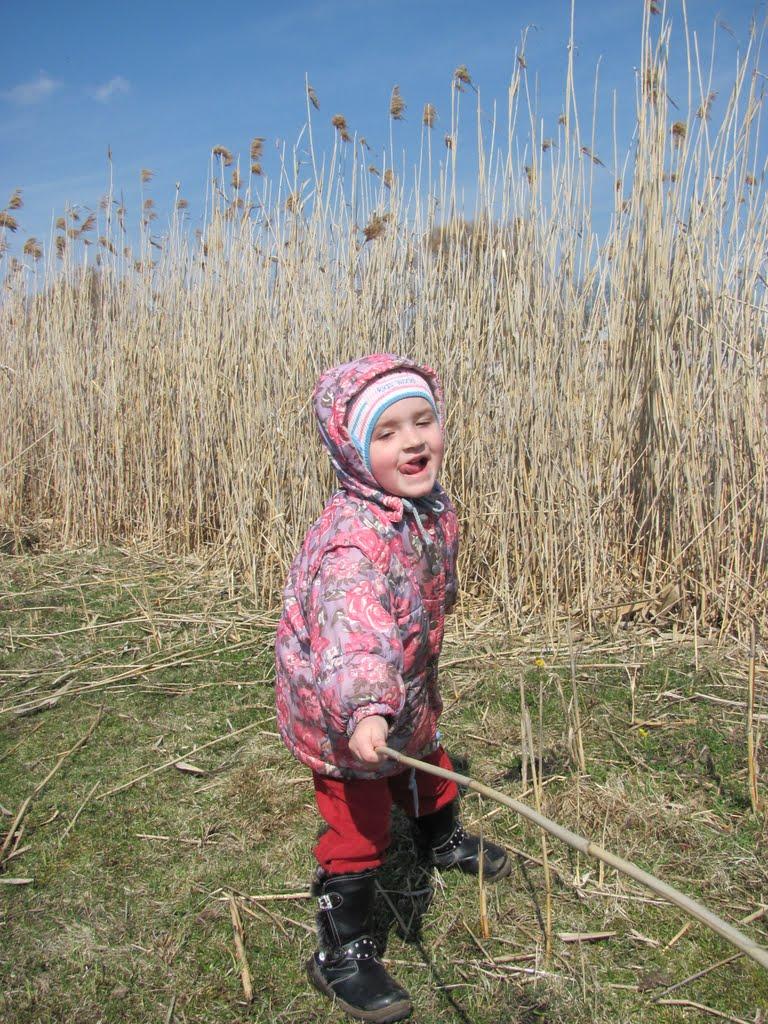 Чухелі з panoramio.com - Чухелі