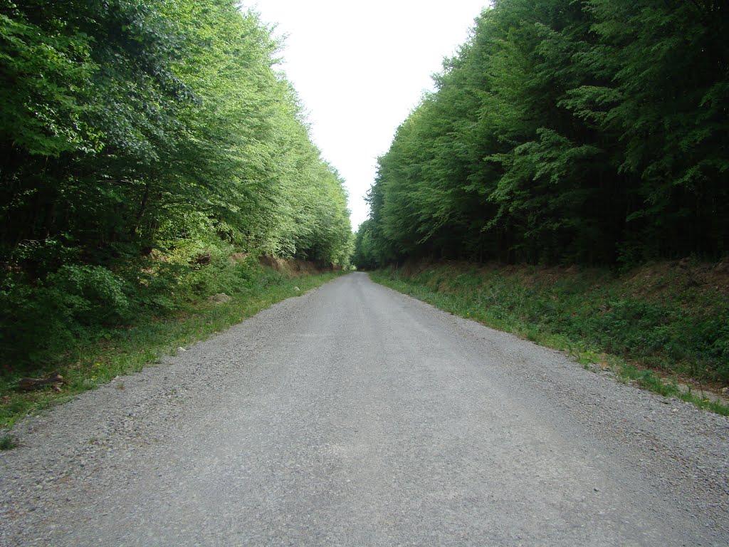 Іванківці з panoramio.com - Іванківці