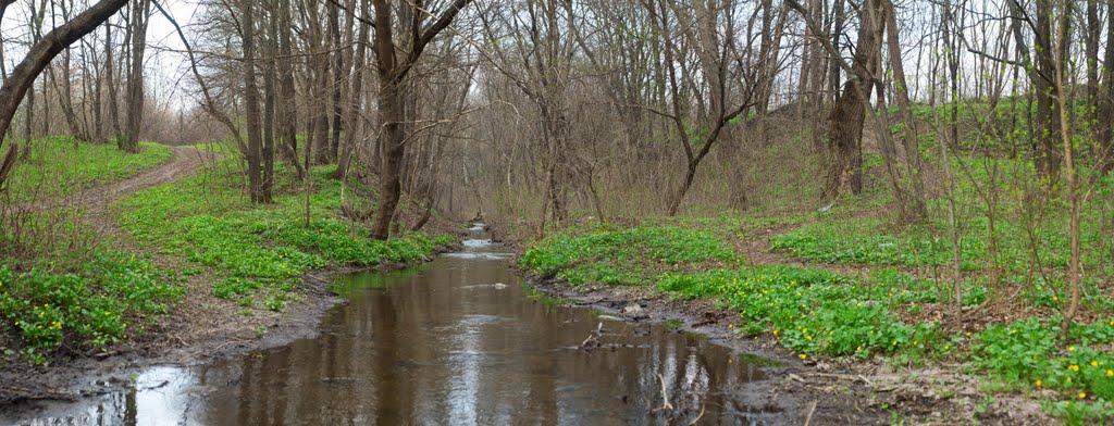 Жовті Води з panoramio.com - Жовті Води