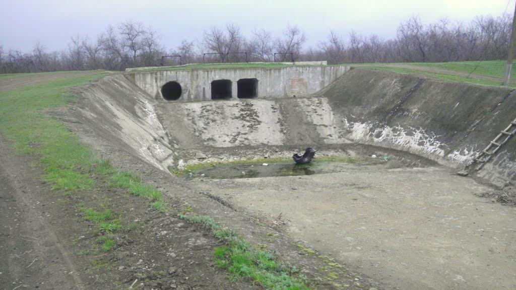 Миколаївське з panoramio.com - Миколаївське