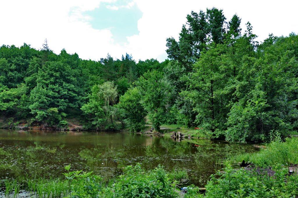 Кремінна з panoramio.com - Кременная