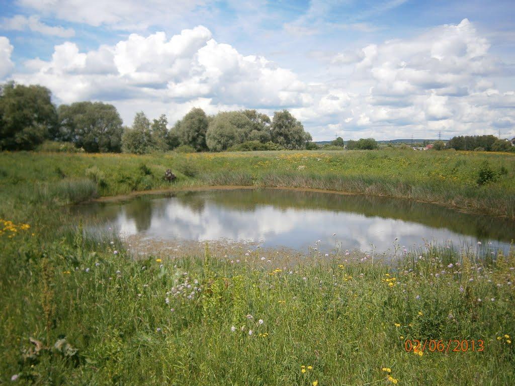 Берездівці з panoramio.com - Berezdivtsi