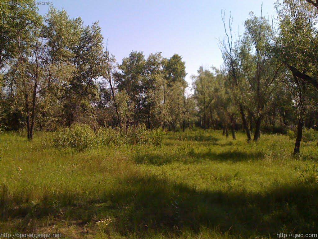 Новосілки з panoramio.com - Новосілки