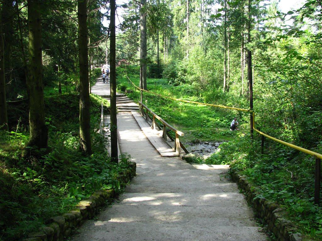 Манява з panoramio.com - Манява