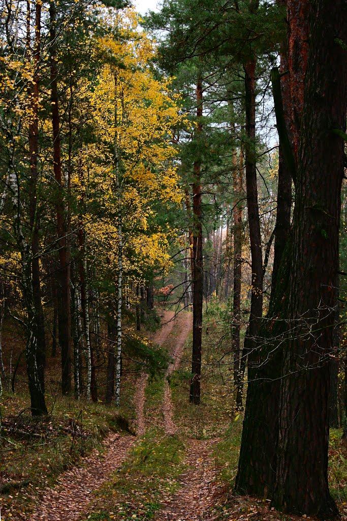 Софіївка з panoramio.com - Софиевка
