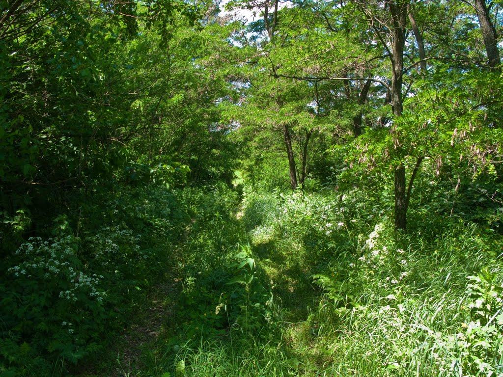 Глинча з panoramio.com - Глинча