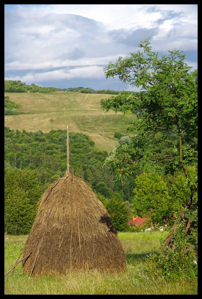 Солочин з panoramio.com - Солочин