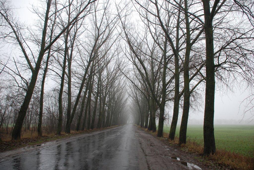 Замостя з panoramio.com - Замостя