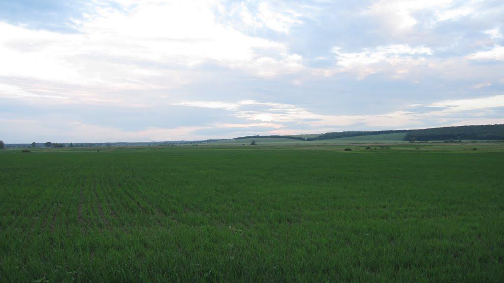 Революційне з panoramio.com - Революційне