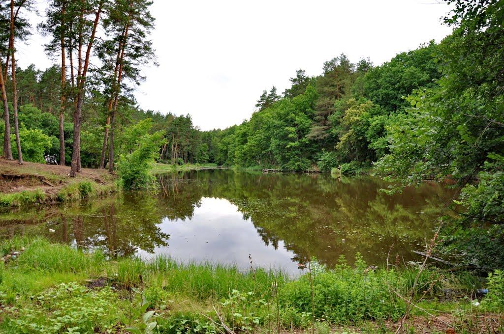 Кремінна з panoramio.com - Кременная