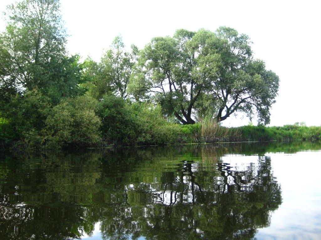 Матвіївка з panoramio.com - Матвіївка